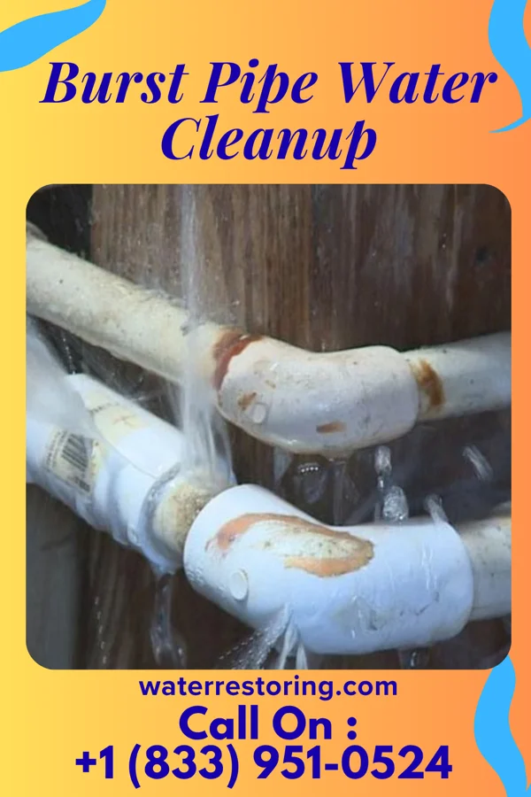 Burst Pipe Water Cleanup in Englewood, OH