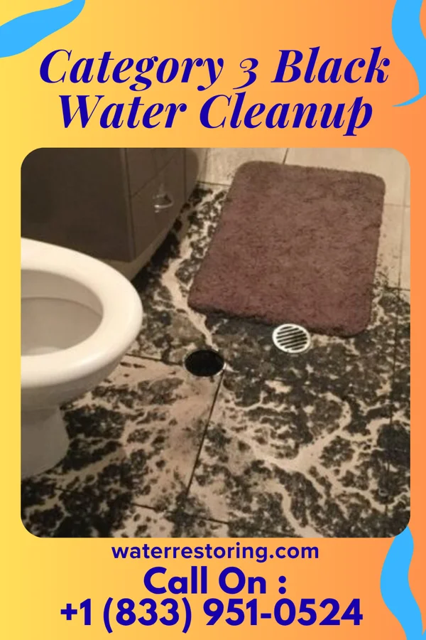 Category 3 Black Water Cleanup in Englewood, OH